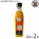 土佐の果汁100% ポンカン 300ml×2瓶 高知県 果実原液 果汁 農薬不使用 無添加