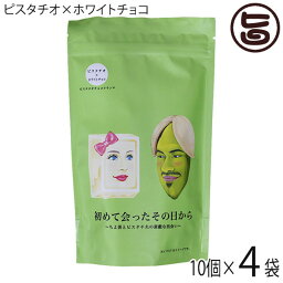 豊上製菓 初めて会ったその日から 10個×4袋 バレンタイン おもしろ チョコ ピスタチオチョコクランチ 個包装 義理 ばらまき