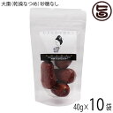 おきなわ薬膳美人 無糖 乾燥なつめ 40g×10P ドライナツメ 中国産 契約農家 無農薬 無化学肥料 CNAS認定有機基準栽培