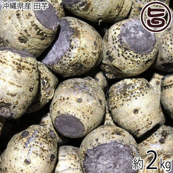 【名称】田芋(蒸し) 【内容量】約2kg　大きさは、選べません 【賞味期限】到着後数日持ちます。　※できるだけ早くお召し上がりください。 【原材料】沖縄県産 田芋 【保存方法】新聞紙で包み、冷蔵庫で保存 【お召上がり方】唐揚げ、コロッケにしたり、炒めたり煮込んだりしてください。◆沖縄料理〔ディンガク（リンガク） - 田楽〕煮た芋を潰して砂糖を加え混ぜ合わせペースト状にしたもの。〔ドゥルワカシー(泥沸かし)〕豚肉とともに田いもといも茎を炒めた後、出汁とシイタケ等の野菜を加えて煮込み、白みそで味を調えて出来上がり。〔ンムニー(芋煮)〕田芋をきんとんのようにねり状に仕上げたものです。【販売者】株式会社オリーブガーデン（沖縄県国頭郡恩納村） メーカー名 琉宮青果 原産国名 日本 産地直送 沖縄県 商品説明 タイモ（田芋）は、浅い水を張った畑（水田）で栽培されるサトイモ。「ミズイモ（水芋）」とも 呼ばれています。主に南西諸島の各地で栽培されています。粘りと甘みが特徴。生では固いのと、あくが強いので蒸して販売されています。親芋に子芋や孫芋が成る様子から、子孫繁栄を願う正月料理としてつくられ、祝い事の膳にも欠かせない。沖縄ではお盆の時期にも欠かせません。宅急便：冷蔵着日指定：×不可 ギフト：×不可 ※重要なお知らせ：※収穫・発送準備ができ次第出荷させていただきます。生育具合によりお時間がかかる場合もございます。必ず一度目の配達でお受け取りいただけるようお願いします。 不在の恐れがある場合は、送り状お問合せ番号を最寄りの営業所にご連絡の上、 在宅時間をお伝え下さいますようお願いいたします。 生鮮食品・青果は、商品特性上保管期間を過ぎると処分になる場合がございます。 保管期間中の品質については、保証できかねます。 ※産地直送品につき、出荷後商品の返品・交換はお受けできません。※生産者より産地直送のため、他商品と同梱できません。※納品書・領収書は同梱できません。　領収書発行は注文履歴ページから行えます。 こちらの商品は一部地域が配送不可となります。 配送不可 離島 ※「配送不可」地域へのご注文はキャンセルとなります。