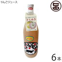 中村フルーツ農園 りんごジュース きらめき 1L×6本 長野県安曇野産 ストレートジュース 無農薬りんご