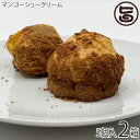 【名称】シュークリーム 【内容量】5個入り×2箱 【賞味期限】90日/解凍後5日 【原材料】[マンゴークリーム]生クリーム（国内製造）、マンゴーピューレ、砂糖、寒天、粉飴[シュー生地]小麦粉（国内製造）、卵、ファストスプレッド、砂糖、マーガリン/加工デンプン、膨張剤、乳化剤、香料、リン酸塩（Na）、カゼインNa、酸化防止剤（V.E）、カロテノイド色素、安定剤（ペクチン） 【保存方法】要冷凍（−18℃以下）解凍後は当日中にお召し上がりください 【お召上がり方】解凍してお召上がりください。※半解凍状態でもシューアイスのような食感でお召し上がり頂けます。【販売者】株式会社オリーブガーデン（沖縄県国頭郡恩納村） メーカー名 原産国名 日本 産地直送 商品説明 〜 ロイヤルエンターテインメント マンゴースイーツ専門店 〜お菓子作りのコンセプトは『甘さ控えめ、マンゴー濃いめ』スイーツになってもフルーツを食べている感覚をそのまま味わえます。ご自宅用にはもちろん、贈り物にもオススメです。【マンゴーシュークリーム】サクサクのシュー生地の中に、た〜〜っぷりの「マンゴークリーム」が入ったマンゴーシュークリーム。しっかり解凍して、とろんとしたクリームを味わうのもよし。半解凍でシューアイスのようにお召上がりいただくもよし♪特別な日のデザートや、手土産などにおすすめです。宅急便：冷凍着日指定：〇可能 ギフト：×不可 ※生産者より産地直送のため、他商品と同梱できません。※納品書・領収書は同梱できません。　領収書発行は注文履歴ページから行えます。 こちらの商品は全国送料無料です