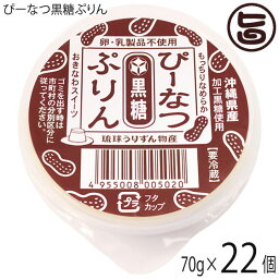 琉球うりずん物産 ぴーなつ黒糖ぷりん 70g×22個セット