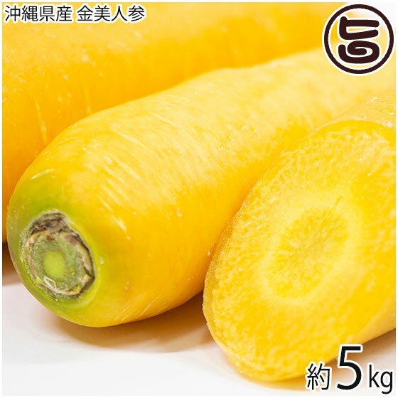 沖縄県産 金美人参 5kg 野菜 人参