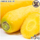 沖縄県産 金美人参 5kg 野菜 人参