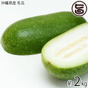 沖縄県産 冬瓜 2kg