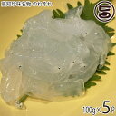 アジアマリン 高知珍味名物 のれそれ 100g×5P
