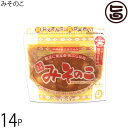 みそのこ食品 みそのこ 沖縄県産島豚仕込み 200g×14個