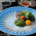 魚魚一(とといち) 浜名湖うなぎの刺身 ハーフ1枚入