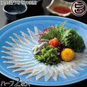 魚魚一(とといち) 浜名湖うなぎの刺身 ハーフ2枚入