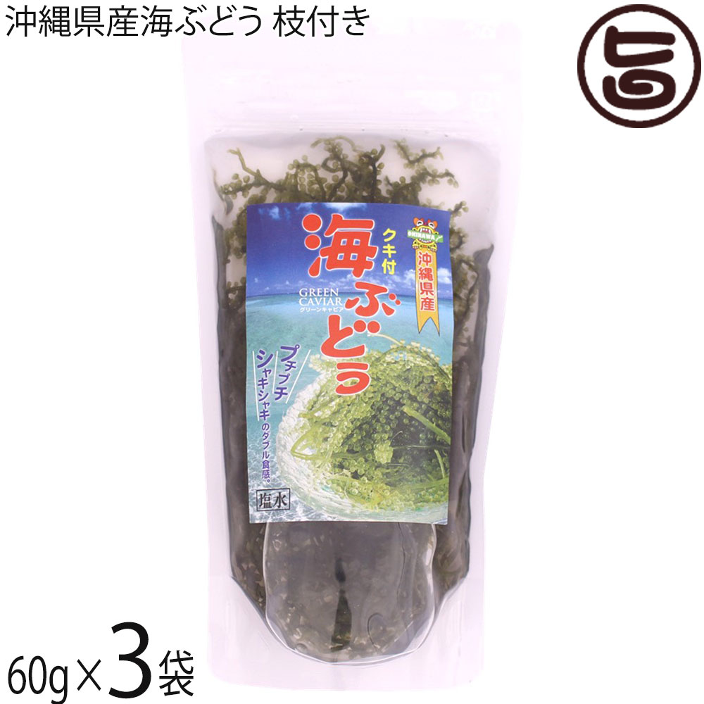 県産海ぶどう枝付き 60g×3袋