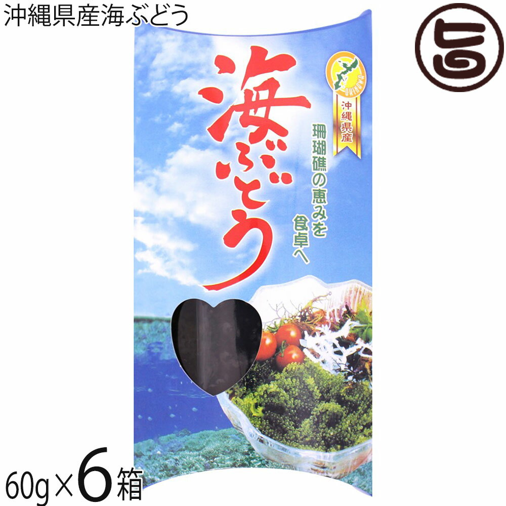 県産海ぶどう 60g×6箱