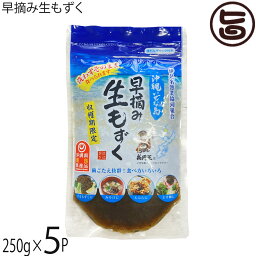 伊是名漁協 早摘み生もずく 250g袋詰め×5P