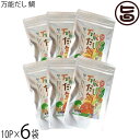 福津いいざい 万能だし 鯛 8g×10P×6袋セット