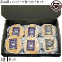 やえやまファーム 南ぬ豚 ハンバーグ食べ比べセット (石垣牛ハンバーグ 生ハンバーグ 網脂ハンバーグ)×各2個