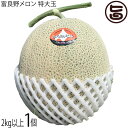 とろける甘さの夏ギフト 富良野メロン 赤肉 特大玉 2kg以上×1玉
