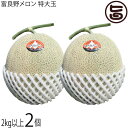 とろける甘さの夏ギフト 富良野メロン 赤肉 特大玉 2kg以上×2玉 計約4キロ