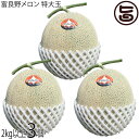 とろける甘さの夏ギフト 富良野メロン 赤肉 特大玉 2kg以上×3玉 計約6キロ