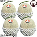 とろける甘さの夏ギフト 富良野メロン 赤肉 特大玉4玉~大玉5玉 計約8キロ