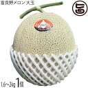とろける甘さの夏ギフト 富良野メロン 赤肉 大玉 1.6kg~2.0kg×1玉 計約2キロ