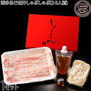 博多あご出汁しゃぶしゃぶ(2-3人前) ×1セット
