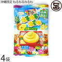 クラシエ 沖縄限定 ねるねるねるね 沖縄パイン味 62g×4袋