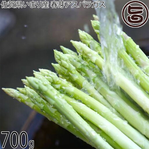 うめむら農園 佐賀県いまり産 春芽アスパラガス 700g うめむら農園 佐賀県いまり産 春芽アスパラガス 700g