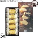 ポニー製菓 沖縄の風 海の塩バニラばうむ 5個入×5箱