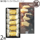 ポニー製菓 沖縄の風 海の塩バニラばうむ 5個入×2箱