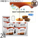 豊上製菓 沖縄 塩キャラメルブラウニー 6個入×2箱