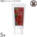 沖縄ウコン販売 洗顔フォーム ハイビスカス 100g×5本