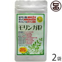 モリンガ粒500 (500粒入/100g)×2袋 沖縄 土産 人気 サプリメント 健康管理 送料無料