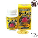 春ウコン 春うっちん粒 1000粒入×12P 沖縄土産 沖縄 土産 健康管理 サプリメント うこん 鬱金 人気