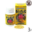 春ウコン 春うっちん粒 1000粒入×3P 沖縄土産 沖縄 土産 健康管理 サプリメント うこん 鬱金 人気