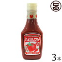 島とうがらし入り トマトケチャップ 300g×3本 沖縄 人気 土産 調味料 送料無料