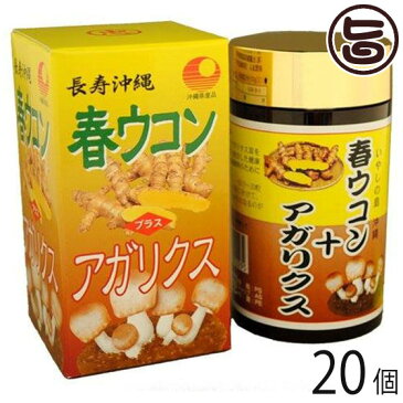 春ウコン+アガリクス粒 700粒×20個 沖縄 土産 健康管理 うこん 鬱金 送料無料