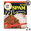 ホーメル スパム カレー 箱入り 180g×2箱 沖縄 土産 人気 SPAM入り ご当地カレー たけしの家庭の医学 ターメリック クルクミン