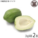 渡具知農園 青パパイヤ 2個（2kg未満）沖縄県産 自家農園栽培 無農薬 野菜 パパイン ポリフェノール ビタミンC その1