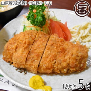 ギフト 化粧箱入り フレッシュミートがなは 山原豚(琉美豚) ≪白豚≫ モモ トンカツ用 120g×5枚 沖縄 土産 貴重 肉 ギフト
