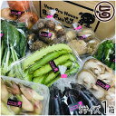 旬の採れたて新鮮野菜詰め合わせ Sサイズ Buu Fuu Uuu×1セット 乳酸菌生産物質を使用 お客様の食卓に笑顔を届け 中身は季節により異なります