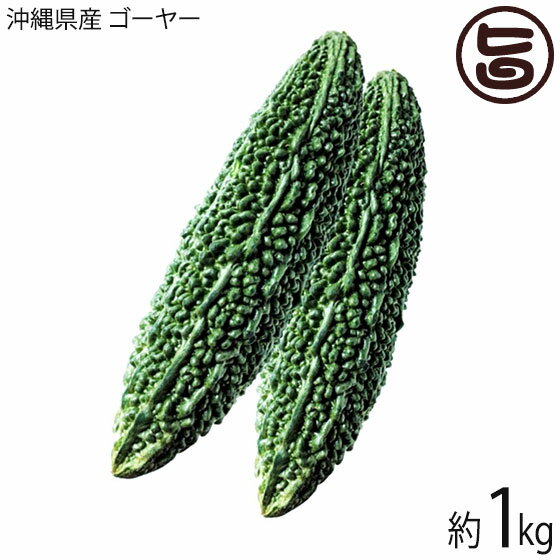 全国お取り寄せグルメ沖縄その他の野菜No.21