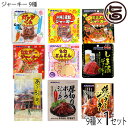 ジャーキー 9種×1セット 沖縄ハム総合食品 沖縄 人気 定番 おつまみ