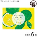 【内容量】6個(120g)×6袋 【賞味期限】お客様のお手元に届きましてから、おおよそ35日前後となります。＊箱裏に添付しております賞味期限をご確認くださいませ。 【原材料】小麦粉、ラード、砂糖、柑橘果汁、はちみつ ※アレルギー表示：小麦、豚肉 【保存方法】直射日光を避けて常温で保存 【JANコード】4580313429126 【販売者】株式会社オリーブガーデン（沖縄県国頭郡恩納村） メーカー名 くがに菓子本店 原産国名 日本 産地直送 沖縄県 商品説明 「ちんすこう」は、琉球王朝時代より沖縄でつくられている伝統的なお菓子のひとつです。いにしえは、王族や貴族のみが祝い事などの時に食べることの出来るお菓子として珍重されていました。「くがにちんすこう」は、その王朝時代の丸型をまもり、古来の製造方法である燃焼式窯を使用しております。また、香川県讃岐の高級小麦粉「さぬきの夢2000」や、国内産の最高級の原料を使用し、製造時に保存料等の添加物や着色料を使用せず、甘さ控えめに仕上げております。沖縄土産や、ブライダルのプチギフトにも可愛いくて、ぴったりです！30箱での販売ですが、ご希望の数がございましたら、ご連絡頂ければ、再見積もりいたします。こちらの商品は袋入りタイプの為、包装はお受けできませんが、熨斗は対応可能です。＊「くがに」は、漢字では「黄金」と表し、沖縄方言で 「大切なものが輝いている様」を意味します。後世の宝となるような琉球のお菓子を、小さな島ここ 沖縄より世界中へお届けしたいという思いが込められております。沖縄北部産のカーブチーと、くがにちんすこうのコラボレーション。甘酸っぱくて、ほろ苦いカーブチーと、くがにちんすこうのハーモニー。カーブチーはミカン科ミカン属の柑橘で、特徴のある爽やかな香り、あまみがあります。カーブチーとは？シークワーサーと同じように、ノビレチンが豊富なカーブチー。名前は皮が厚いという特徴から、沖縄の方言で名付けられました。その厳選されたカーブチーを、ひとつひとつカットし、丁寧に心をこめて果汁をしぼりました。機械をつかってカットするのではなく、手作業でしぼるからこそ味に深みがでてきます。力強く可愛らしいパッケージのイラストは、店主であります新垣實の作品です。 安全上のお知らせ ※アレルギー表示：小麦、豚肉ネコポス便で配送予定です着日指定：×不可 ギフト：×不可 ※生産者より産地直送のため、他商品と同梱できません。※納品書・領収書は同梱できません。　領収書発行は注文履歴ページから行えます。 こちらの商品は全国送料無料です