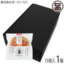 吉満菓子店 鹿児島丸ぼーろ イチゴ 25g×15個入 1箱 鹿児島県 土産 焼き菓子 手ごね ボーロ ドライいちごトッピング