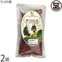 クコの実 100g×2袋 沖縄 土産 珍しい ビタミンC豊富