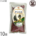 クコの実 100g×10袋 沖縄 土産 珍しい ビタミンC豊富