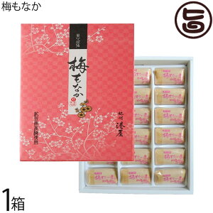 ギフト 港屋 梅もなか 18個入り×1箱 老舗和菓子屋のスイーツ 和歌山 土産 和菓子 モナカ 最中