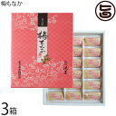 ギフト 港屋 梅もなか 18個入り×3箱 老舗和菓子屋のスイーツ 和歌山 土産 和菓子 モナカ 最中 その1