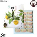 ギフト 港屋 柚もなか 18個入り×3箱 老舗和菓子屋のスイーツ 国産もち粉100% 和歌山県 贈り物