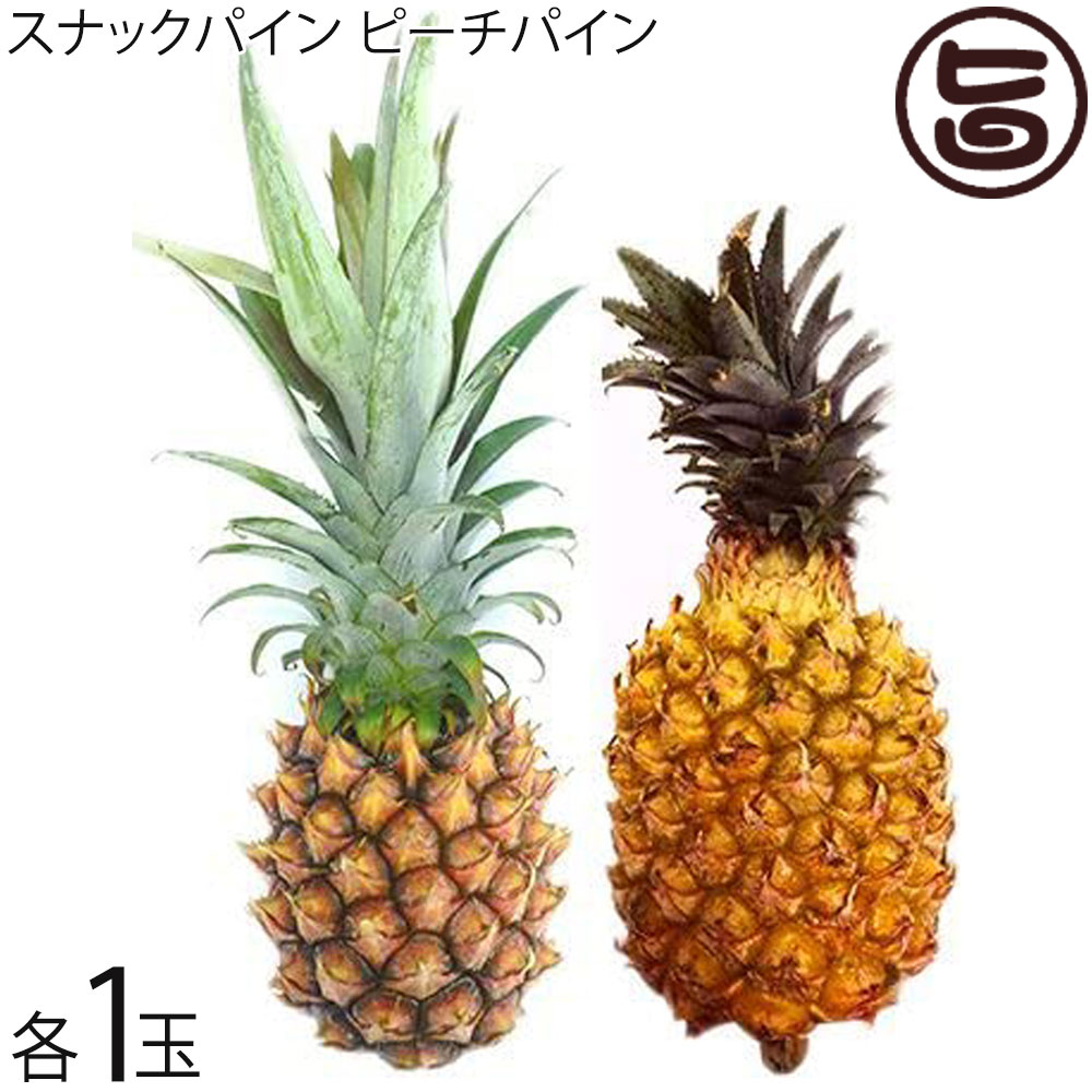 期間限定 スナックパイン ピーチパイン 各1玉 沖縄 パイン 人気 南国フルーツ お土産 定番のサムネイル